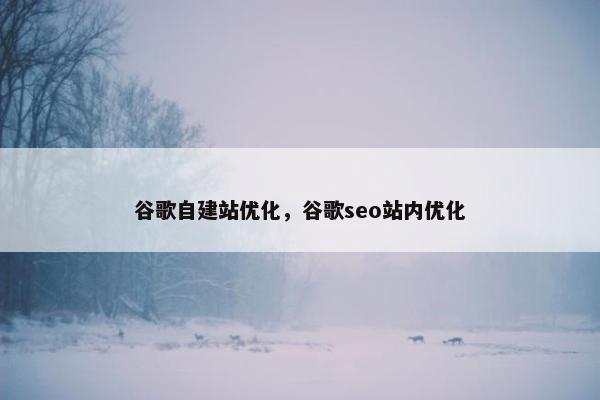 谷歌自建站优化，谷歌seo站内优化