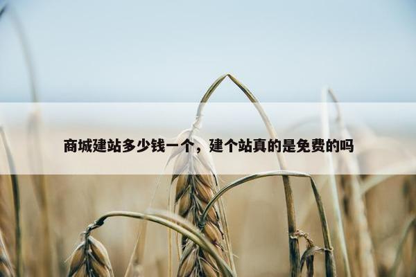 商城建站多少钱一个，建个站真的是免费的吗