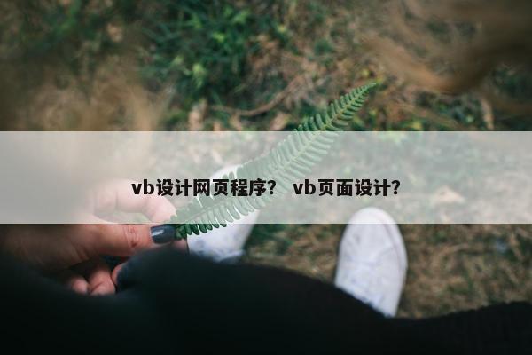 vb设计网页程序？ vb页面设计？