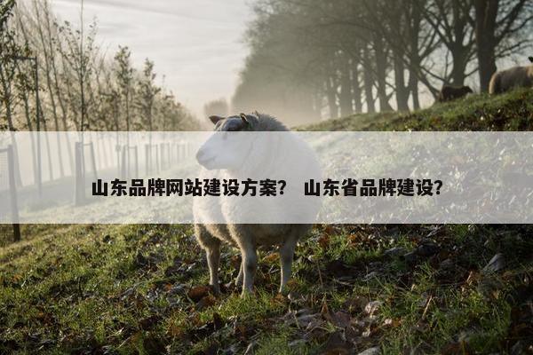 山东品牌网站建设方案？ 山东省品牌建设？