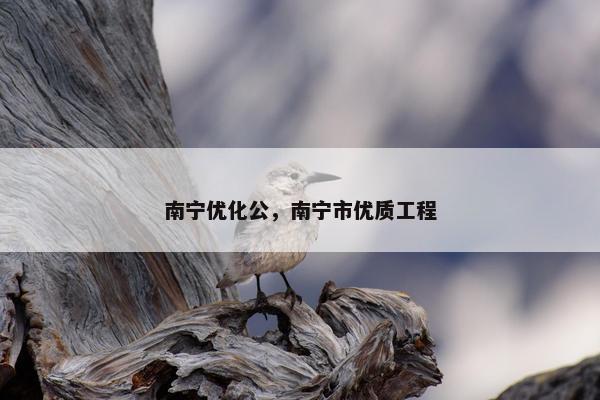 南宁优化公，南宁市优质工程