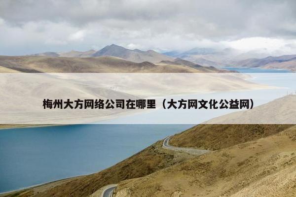梅州大方网络公司在哪里（大方网文化公益网）