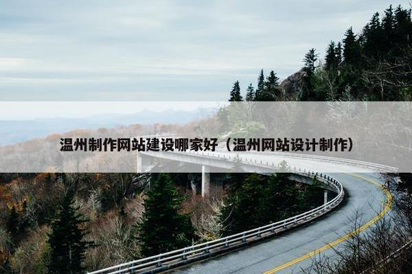温州制作网站建设哪家好（温州网站设计制作）