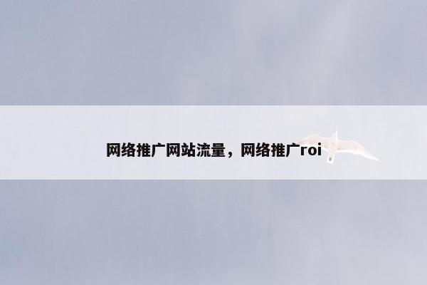 网络推广网站流量，网络推广roi