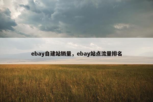 ebay自建站销量，ebay站点流量排名