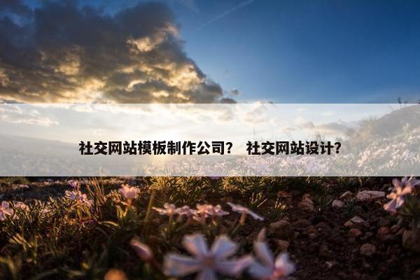 社交网站模板制作公司？ 社交网站设计？