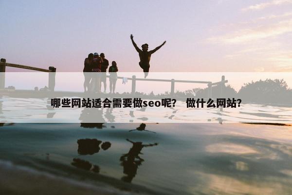 哪些网站适合需要做seo呢？ 做什么网站？