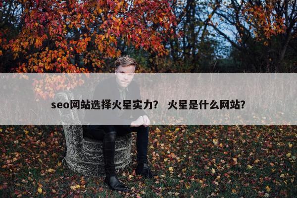 seo网站选择火星实力？ 火星是什么网站？