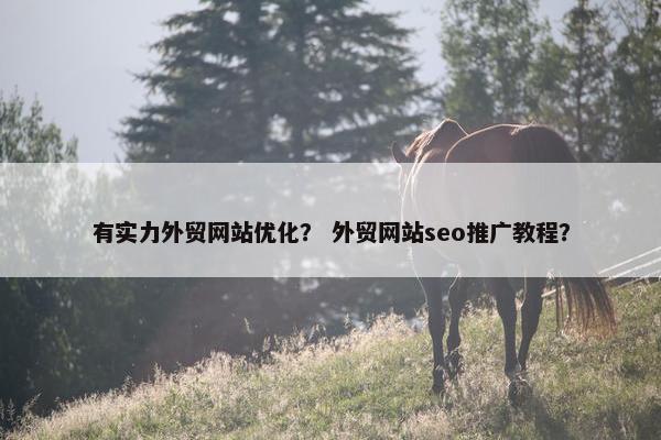 有实力外贸网站优化？ 外贸网站seo推广教程？