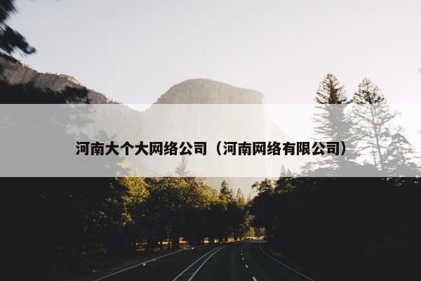 河南大个大网络公司（河南网络有限公司）
