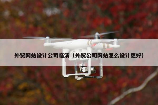 外贸网站设计公司临清（外贸公司网站怎么设计更好）