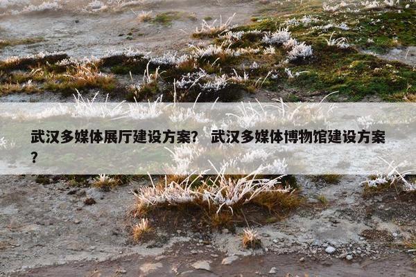 武汉多媒体展厅建设方案？ 武汉多媒体博物馆建设方案？