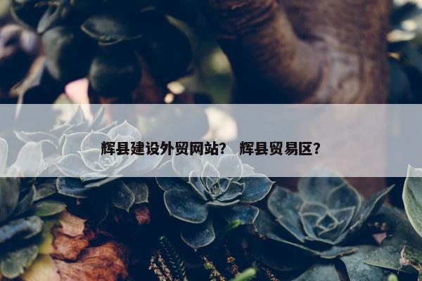 辉县建设外贸网站？ 辉县贸易区？