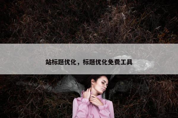站标题优化，标题优化免费工具