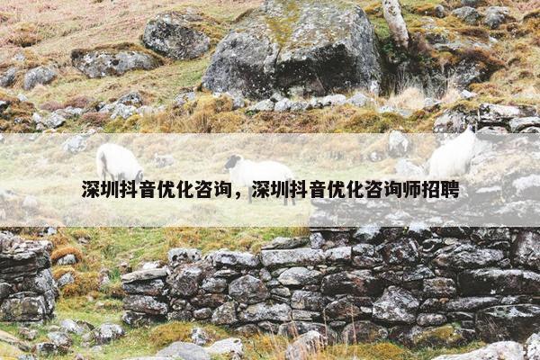 深圳抖音优化咨询，深圳抖音优化咨询师招聘
