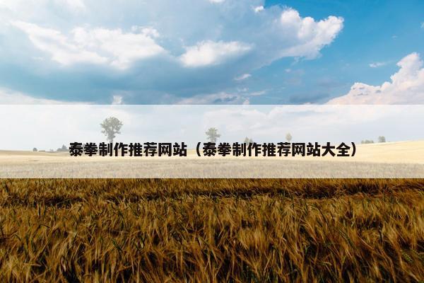 泰拳制作推荐网站（泰拳制作推荐网站大全）