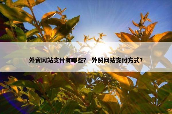 外贸网站支付有哪些？ 外贸网站支付方式？