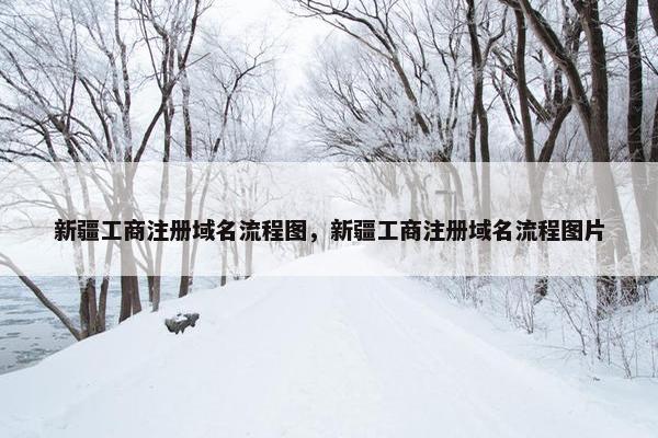 新疆工商注册域名流程图，新疆工商注册域名流程图片