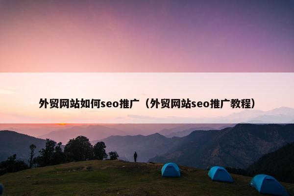 外贸网站如何seo推广（外贸网站seo推广教程）