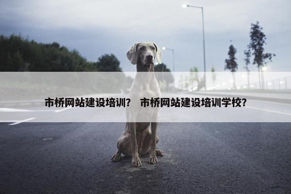 市桥网站建设培训？ 市桥网站建设培训学校？