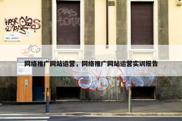 网络推广网站运营，网络推广网站运营实训报告