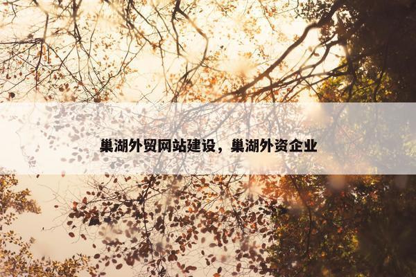 巢湖外贸网站建设，巢湖外资企业