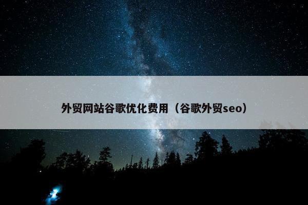 外贸网站谷歌优化费用（谷歌外贸seo）