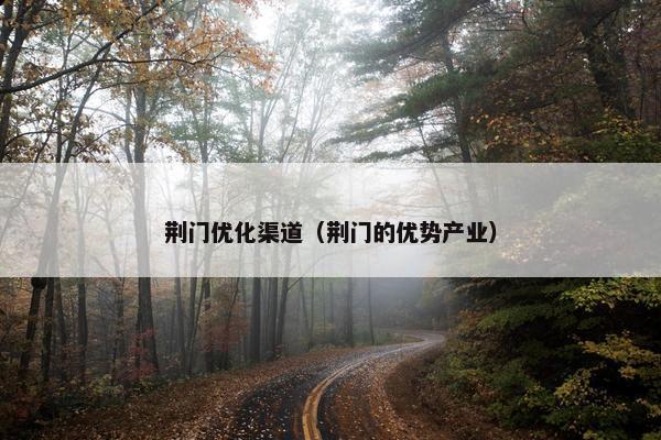 荆门优化渠道（荆门的优势产业）