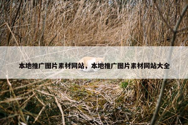 本地推广图片素材网站，本地推广图片素材网站大全