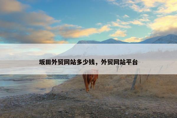 坂田外贸网站多少钱，外贸网站平台