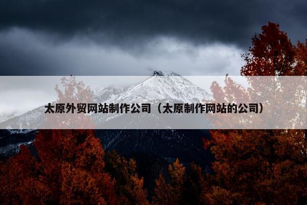 太原外贸网站制作公司（太原制作网站的公司）