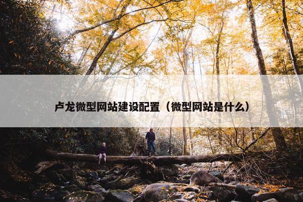 卢龙微型网站建设配置（微型网站是什么）