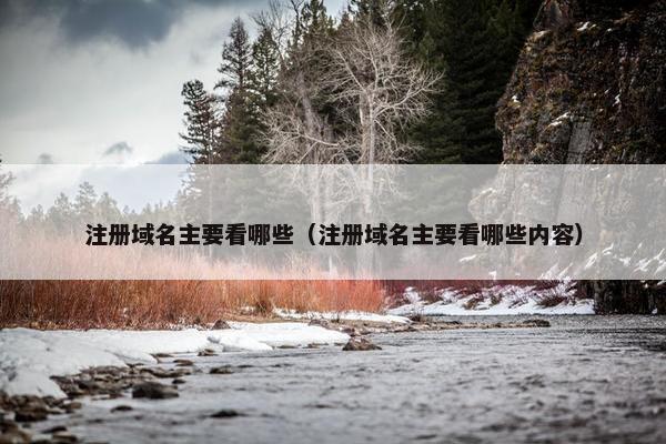 注册域名主要看哪些（注册域名主要看哪些内容）