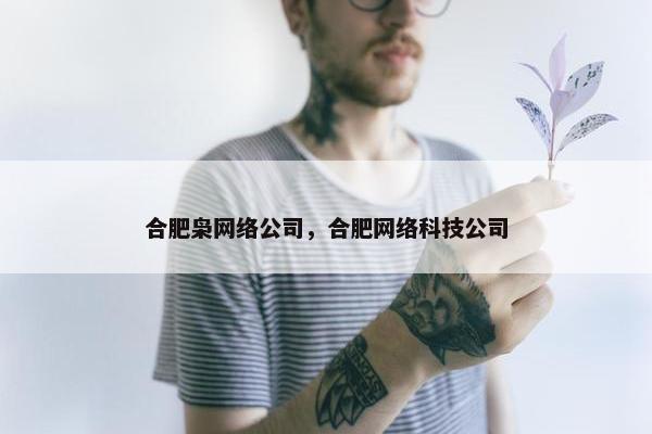合肥枭网络公司，合肥网络科技公司