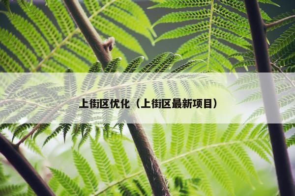 上街区优化（上街区最新项目）