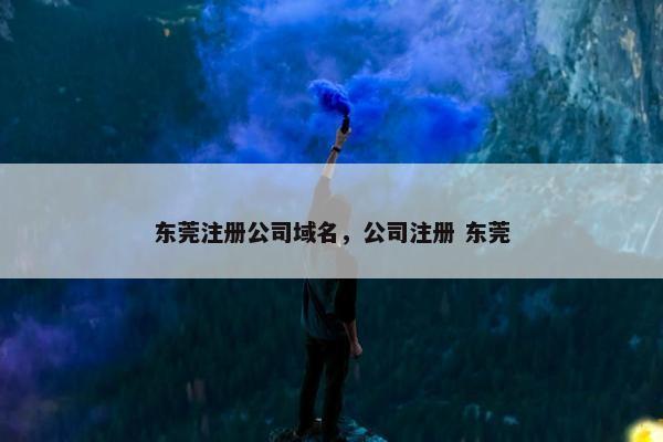 东莞注册公司域名，公司注册 东莞