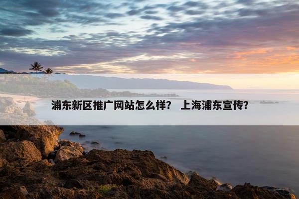 浦东新区推广网站怎么样？ 上海浦东宣传？