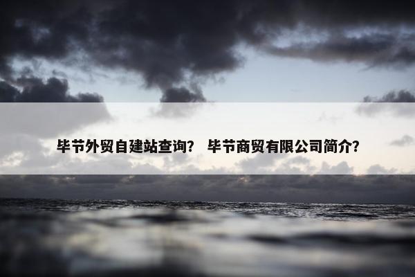 毕节外贸自建站查询？ 毕节商贸有限公司简介？