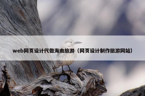 web网页设计代做海南旅游（网页设计制作旅游网站）