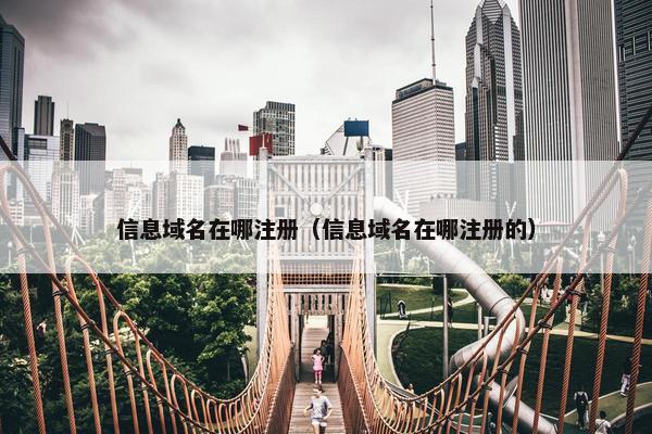 信息域名在哪注册（信息域名在哪注册的）