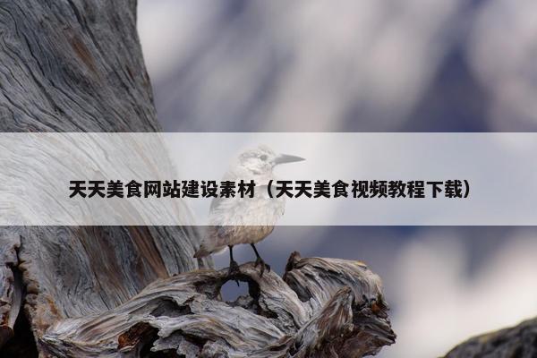 天天美食网站建设素材（天天美食视频教程下载）