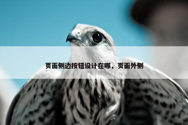 页面侧边按钮设计在哪，页面外侧