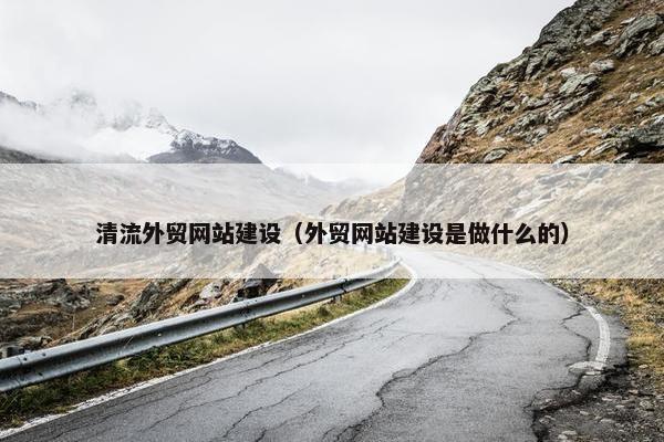 清流外贸网站建设（外贸网站建设是做什么的）
