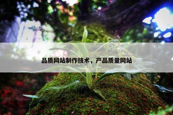 品质网站制作技术，产品质量网站