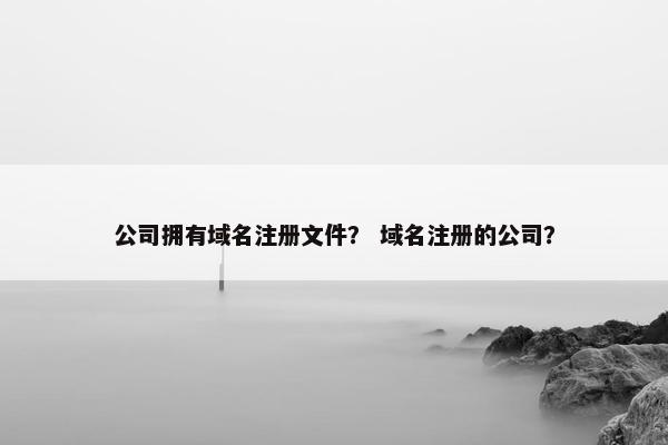公司拥有域名注册文件？ 域名注册的公司？