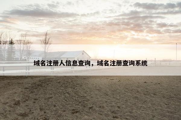 域名注册人信息查询，域名注册查询系统