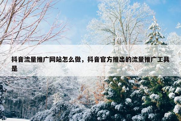 抖音流量推广网站怎么做，抖音官方推出的流量推广工具是