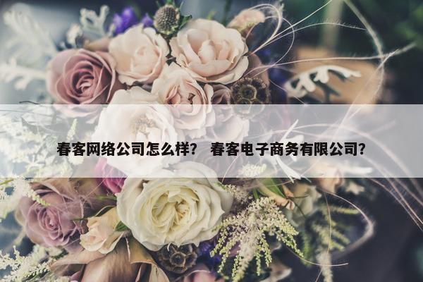 春客网络公司怎么样？ 春客电子商务有限公司？