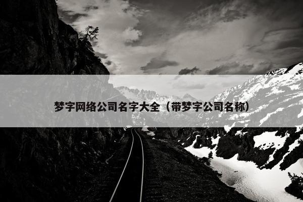 梦字网络公司名字大全（带梦字公司名称）
