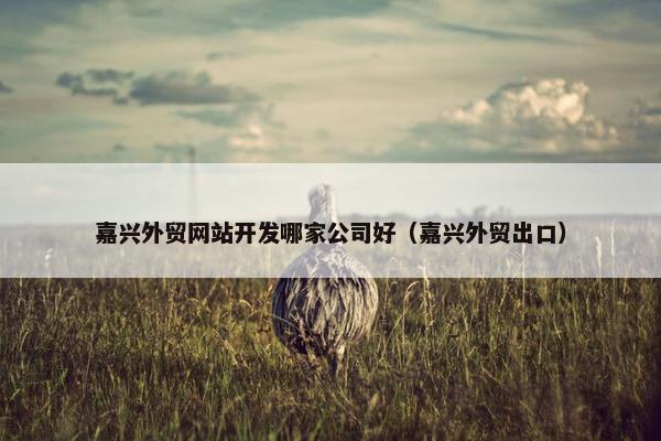 嘉兴外贸网站开发哪家公司好（嘉兴外贸出口）